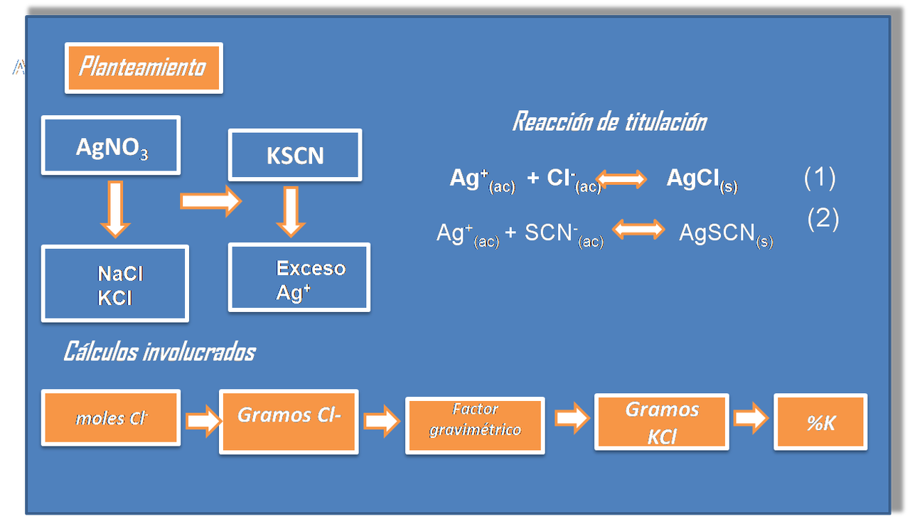 Imagen13.png