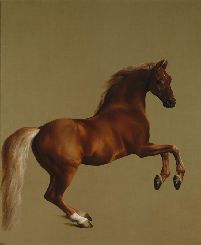 800px-Whistlejacket-by-George-Stubbs.jpg