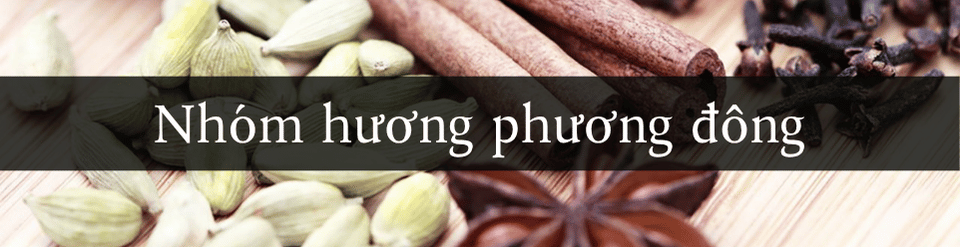 nhom-huong-phuong-dong.png