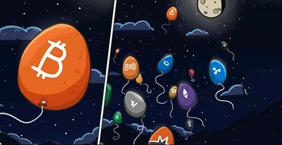 article content image