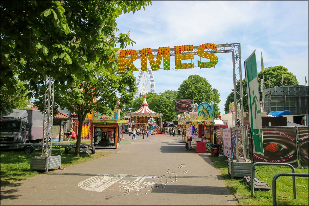 IMG 0004