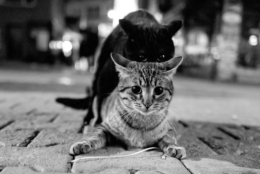 street-photography-charis-ioannou-11.jpg
