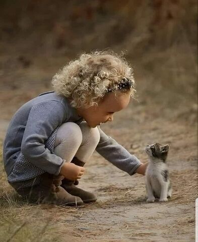 Cat-Loved-by-Girl