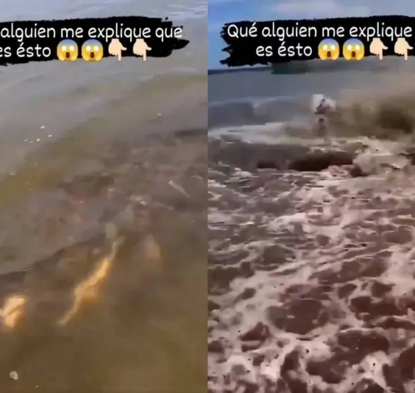¿Monstruo del Amazonas? Extraña criatura ataca a un hombre en el río (Video)