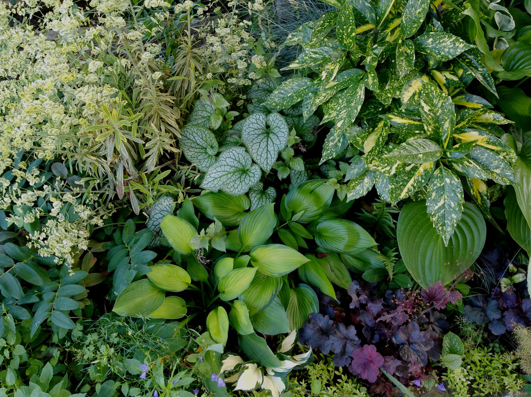 Img 20180616 215415 Postimages