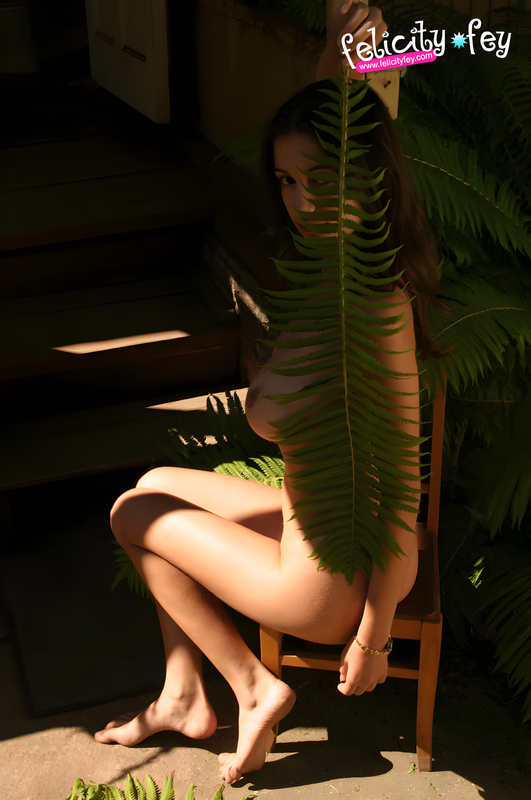 felicity fey 00983 lg 4k