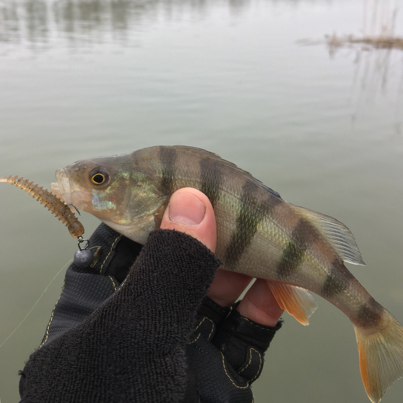 7D493A64-B04E-490B-B9D8-7DD384A28B9F