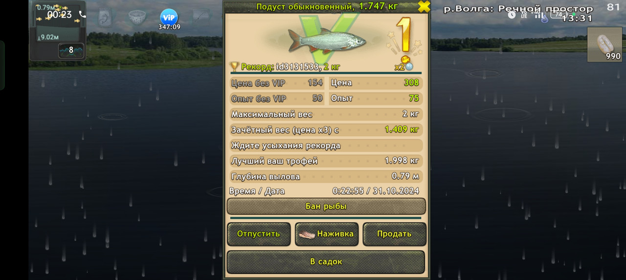 Screenshot-2024-10-31-00-23-02-58-fa28ee