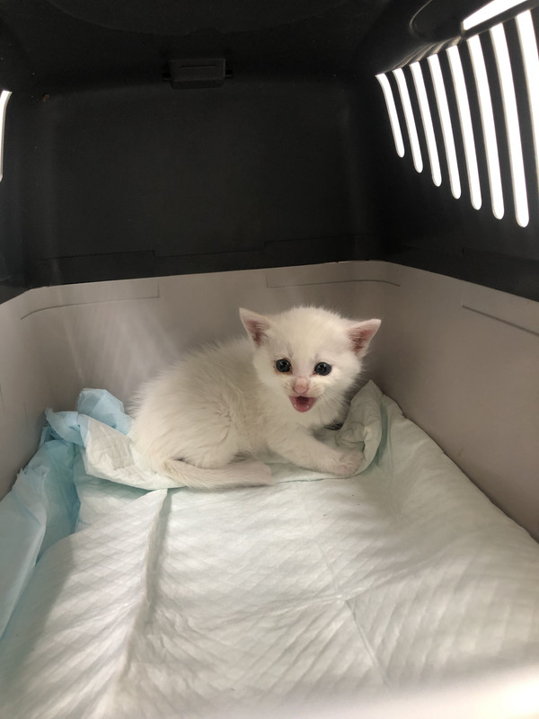 607637FB-CE42-4F07-BDC5-1B32BF2E57C5