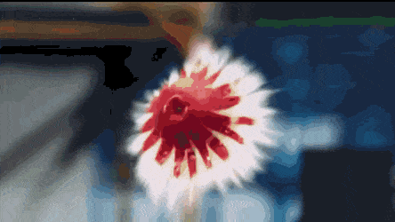GIFs-18