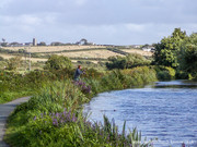 Marhamchurch from the Bude Canal.