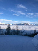 IMG-20240207-WA0071