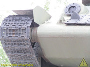 IMG-8800