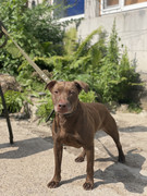 IMG_20230706_160501_173