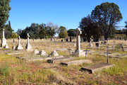 DSC-0101