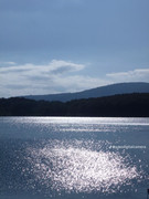 photo 13 2025 12 12 15 26 37