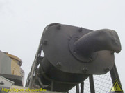 IMG-7809