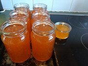 IMG 20211205 134925275