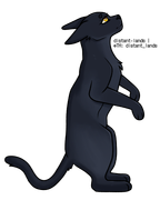 export202408260547554174