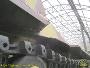IMG-8004