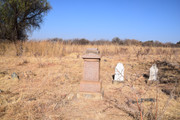 DSC-0376