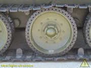 IMG-3523