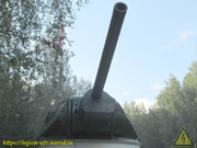 IMG-4504