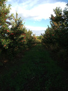 IMG_20210614_182104990