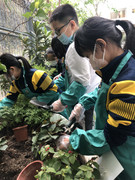 photo-20211123-iherbalgarden-044