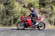 IMG-1369