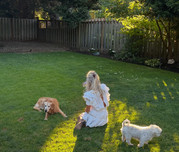 IMG-0598