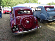 DSC06161.jpg