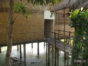 BBG&B20KazirangaAndMajuli - 15