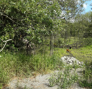 20250620-115259-2.jpg