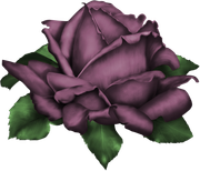 TADD-elements-Last-Dance-In-Paris-79