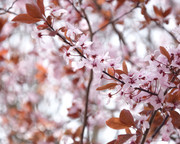 29 - De la couleur pour la bonne humeur