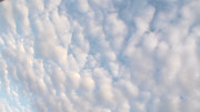 6.6.an assortment of clouds and a kite VI