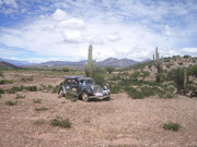 278373692-1974117516103597-4900511639182651266-n.jpg