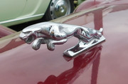 DSCN1150.jpg