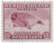 tumblr-14cdf23eda0a03d1ca70d1fe43d2519c-fe381aa2-640