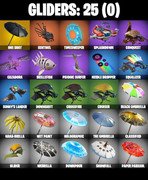 gliders-comp