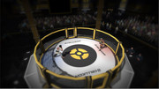 download-MMA-Arena-Ti-NYi-SO-game-malabartown