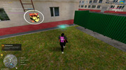 IMG-6949