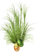 0-1c1b18-c9620750-orig