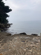 photo_2025-01-31_21-03-30