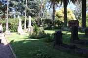 IMG-1289