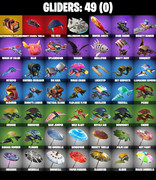 gliders-comp
