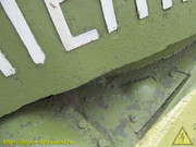 IMG-3176