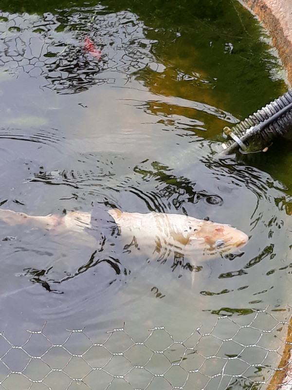 1534945878921274971379