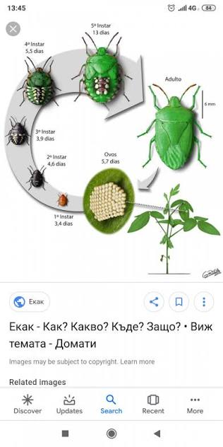 images